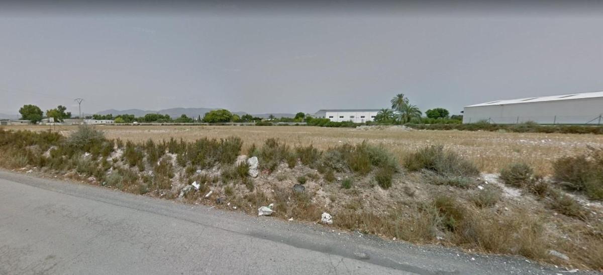 Terreno en venta en Crevillente, Alicante photo 3