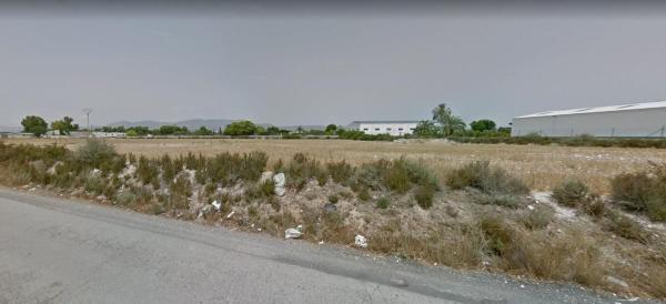Terreno en Crevillente photo 3