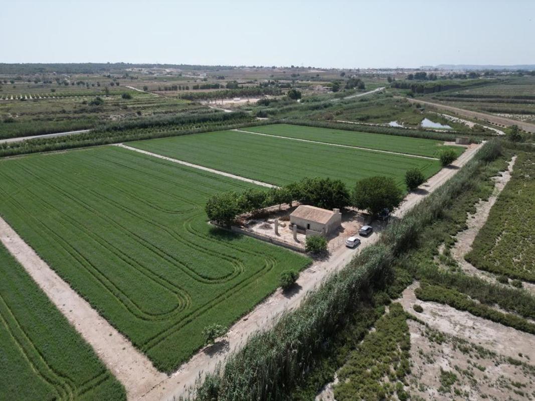Участок земли на продажу в Эльче / Эльх, Аликанте photo 1