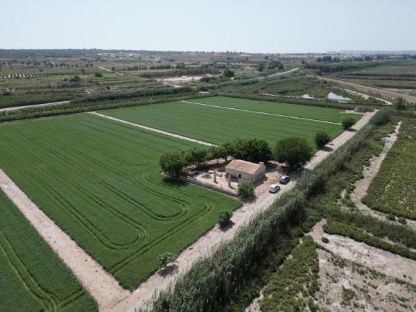 Terreno en La Marina, Elche / Elx photo 1