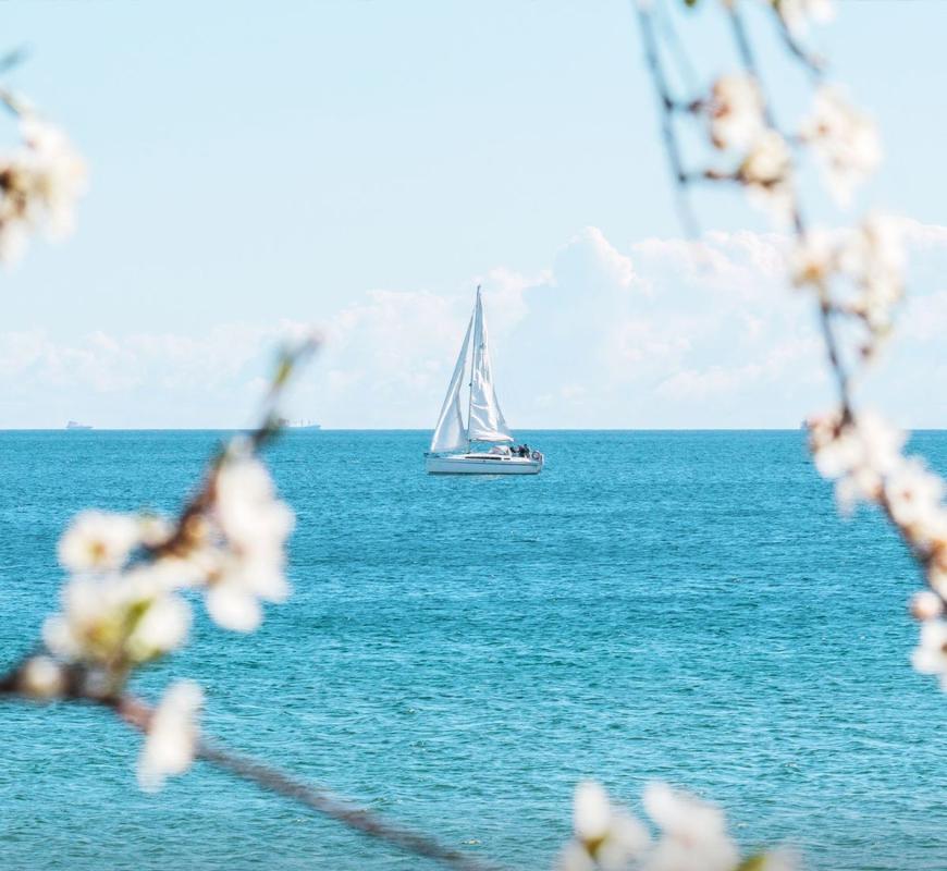 Działka na sprzedaż w Benissa, Alicante photo 4