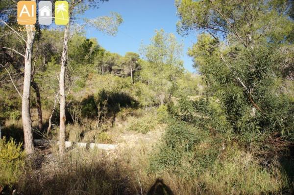 Terreno en Altea la Vella, Altea photo 4