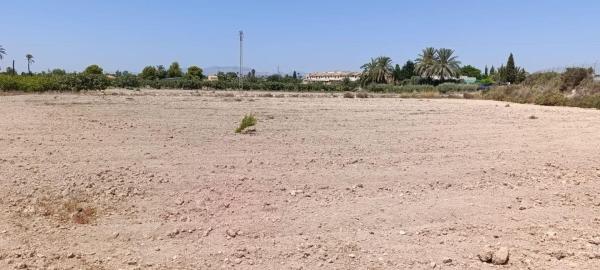 Terreno en Maitino-Perleta, Elche / Elx photo 1