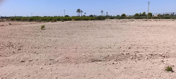 Terreno en Maitino-Perleta, Elche / Elx photo 2