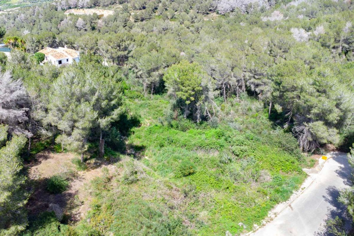 Land for sale in Jávea/Xàbia, Alicante photo 5
