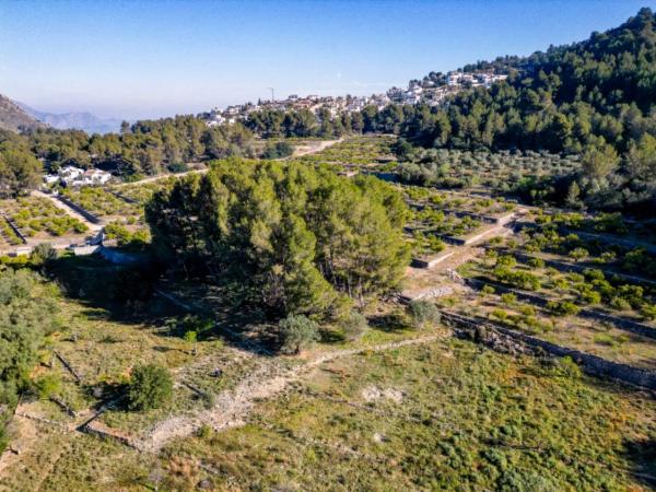 Terreno en Urbanización Puerta del Valle, Murla photo 4