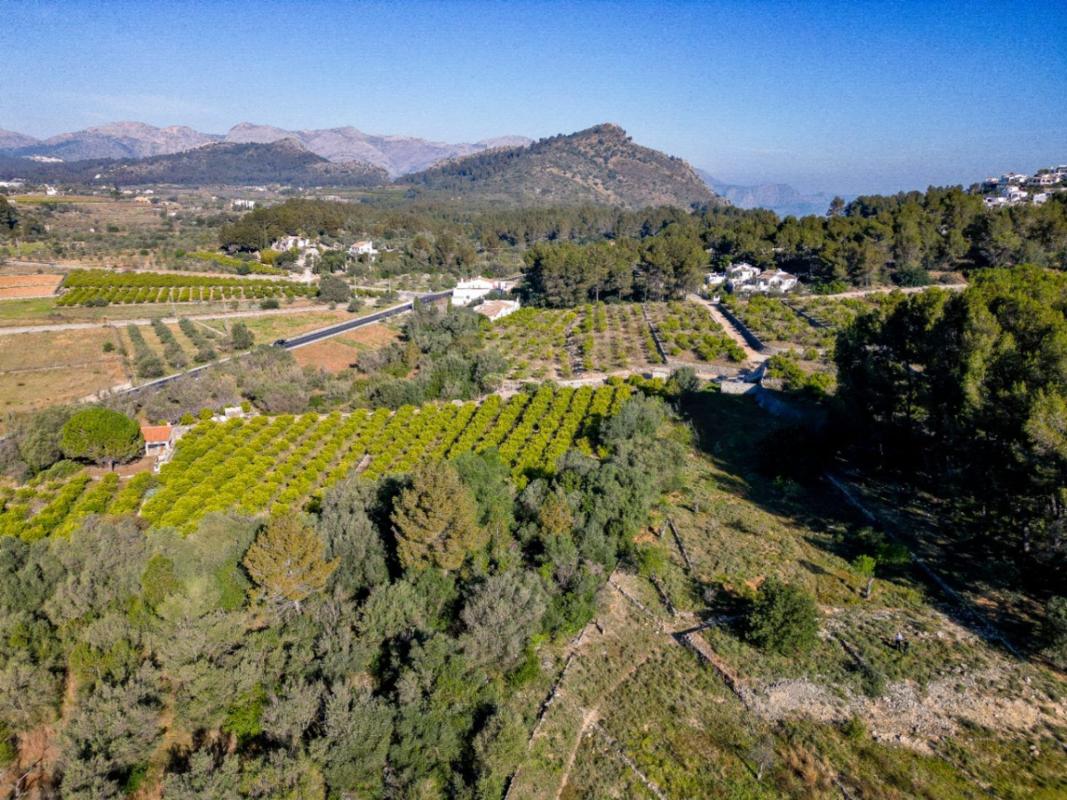Terreno en venta en Murla, Alicante photo 5