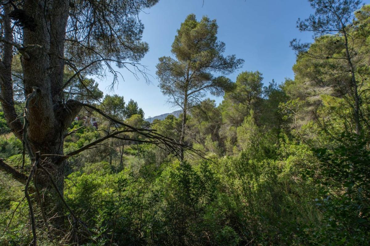 Działka na sprzedaż w Jávea/Xàbia, Alicante photo 2