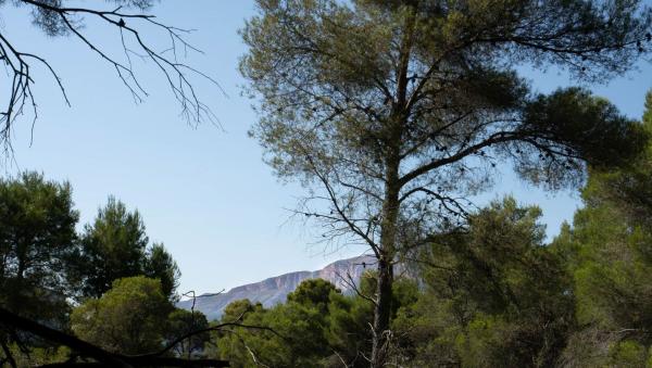 Terreno en El Rafalet, Jávea/Xàbia photo 4
