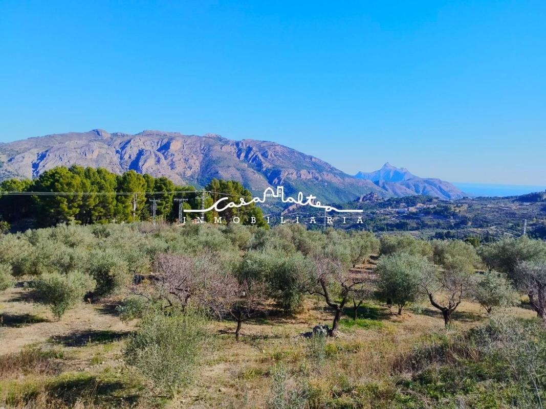 Land for sale in Benifato, Alicante photo 2