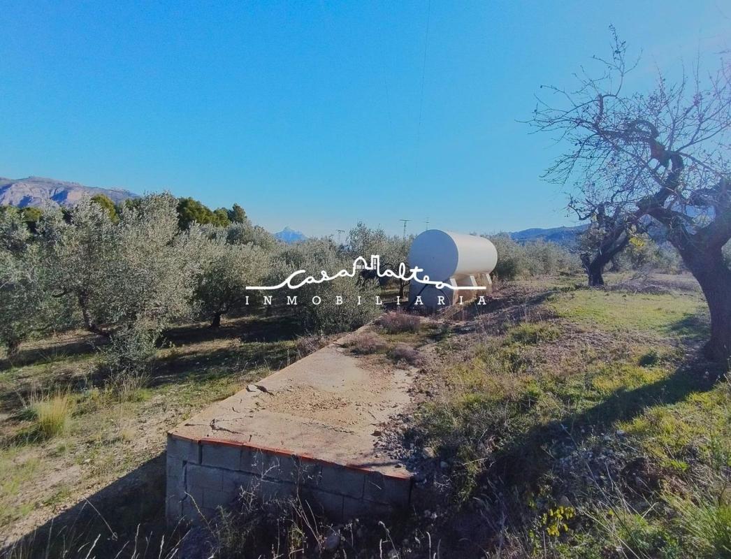 Land for sale in Benifato, Alicante photo 3