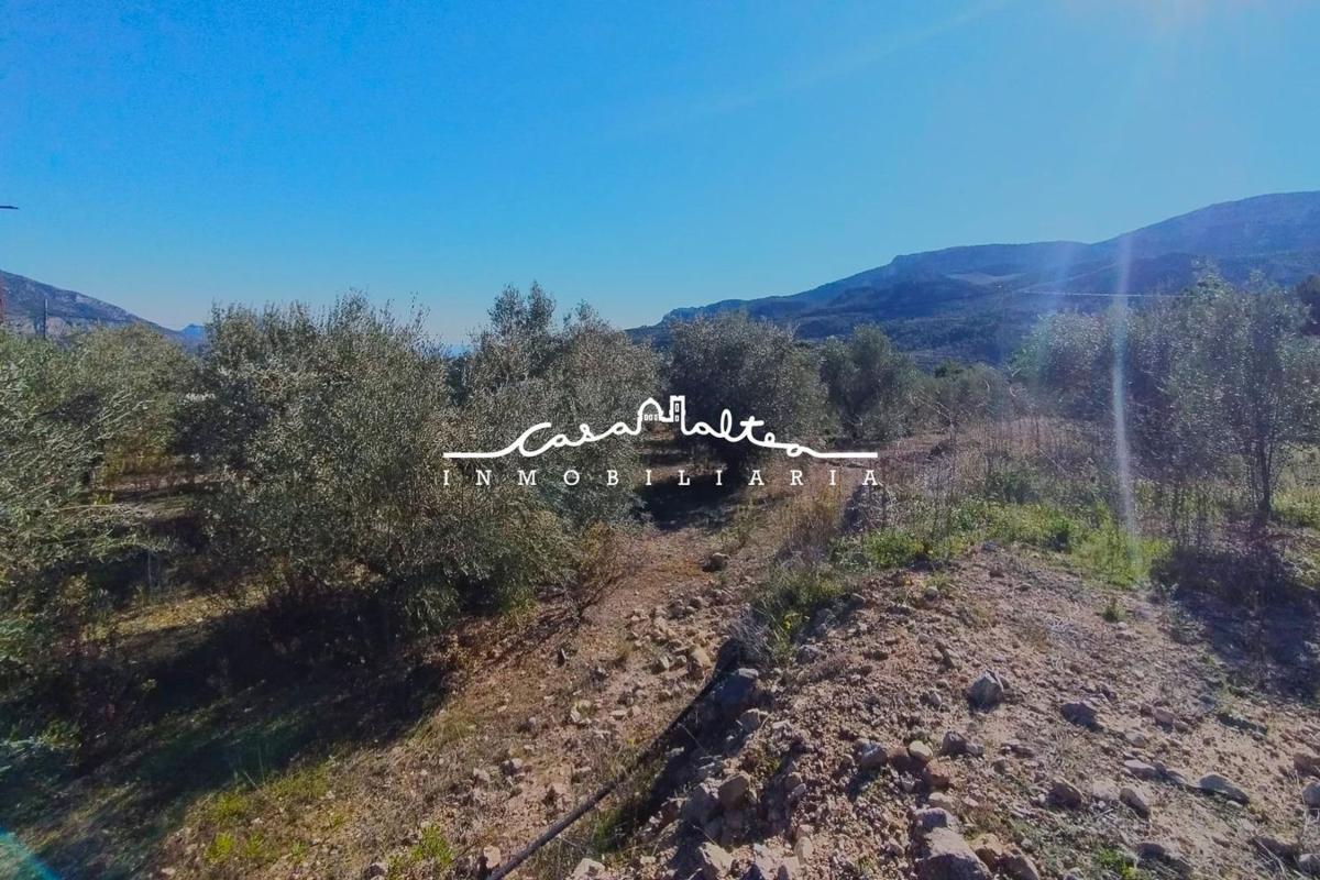 Land for sale in Benifato, Alicante photo 4