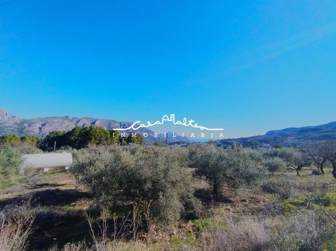 Land for sale in Benifato, Alicante photo 5