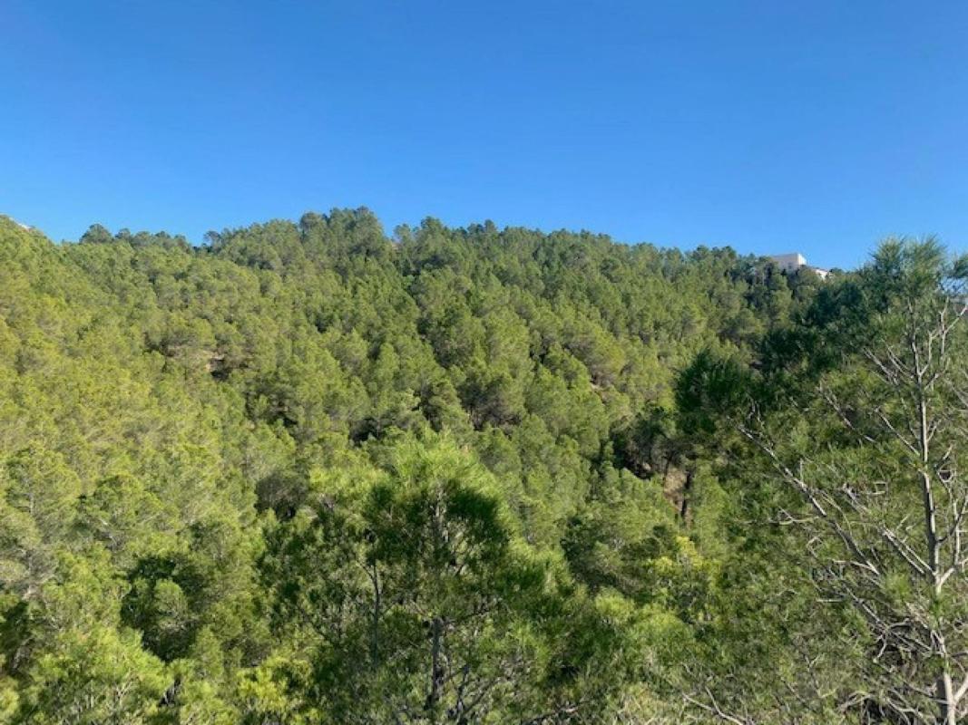 Land for sale in Altea, Alicante photo 1