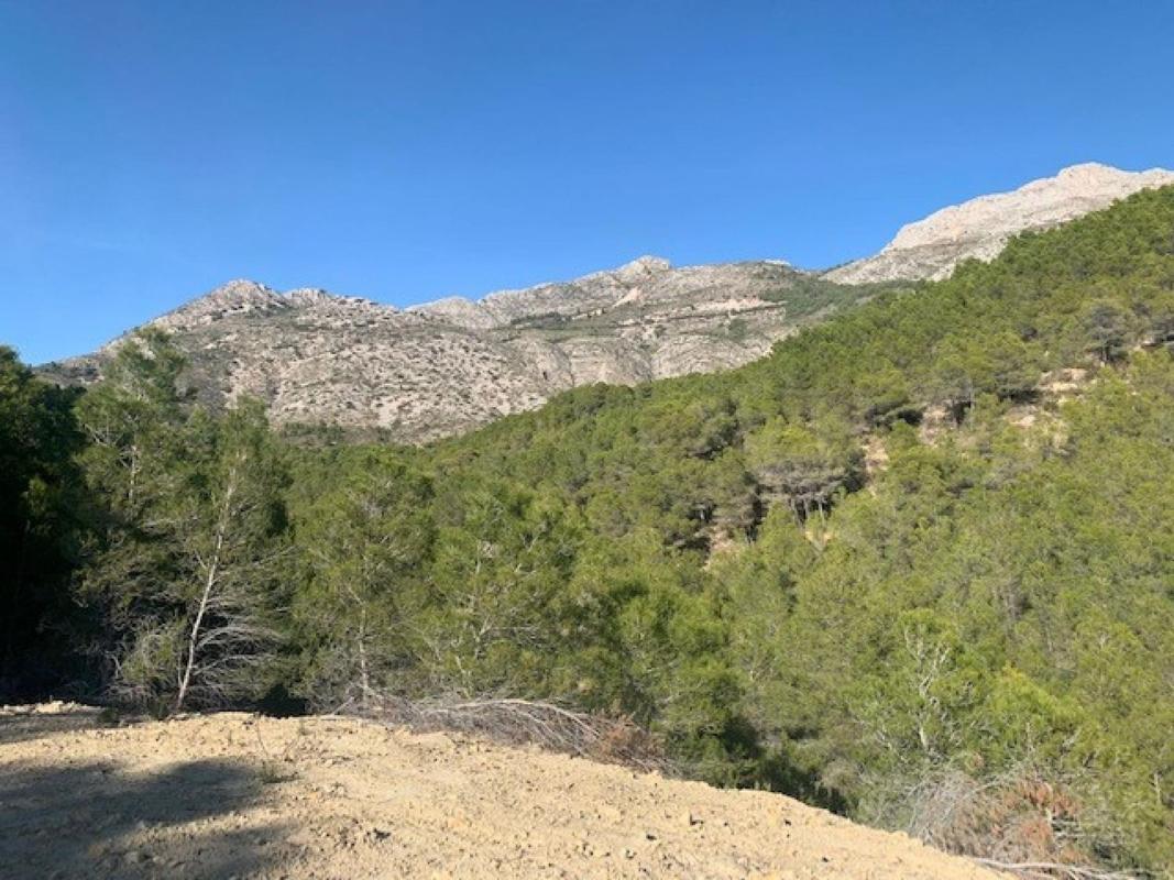 Land for sale in Altea, Alicante photo 3