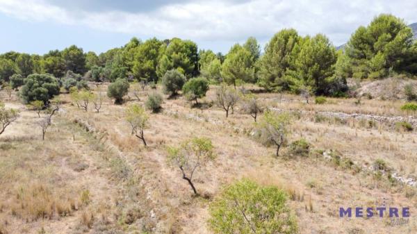 Terreno en Benissa pueblo, Benissa photo 1