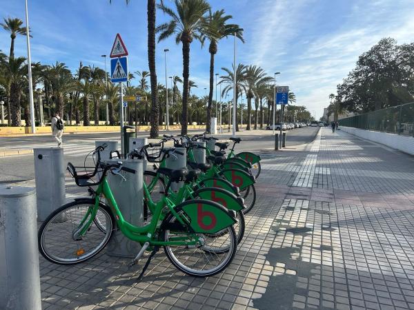 Terreno en Calle Manuel Safon Santamaria, 14, Los Magros-Casablanca, Elche / Elx photo 4