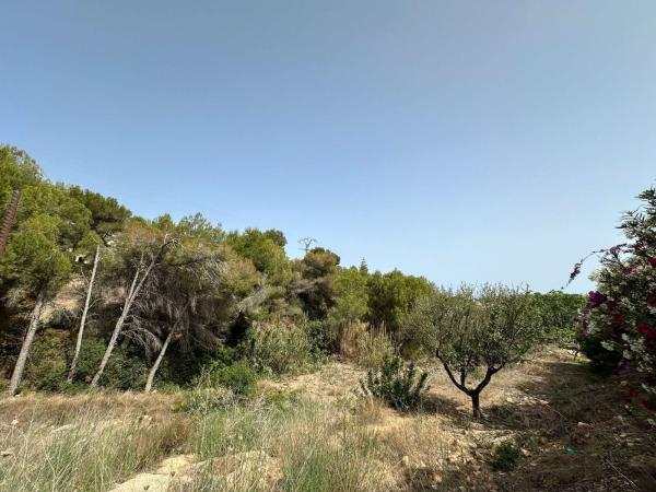 Terreno en Calle de la Bellota, La Fustera, Benissa photo 4