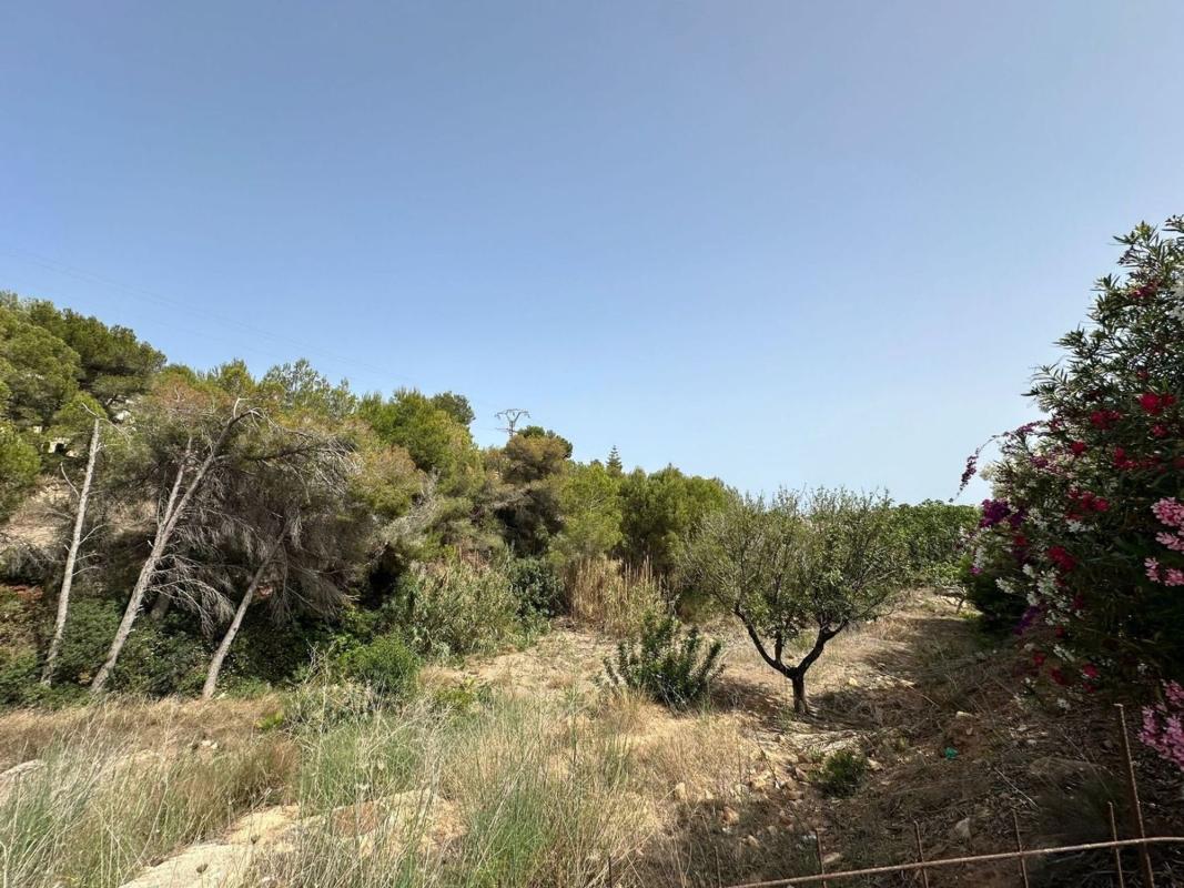 Działka na sprzedaż w Benissa, Alicante photo 5