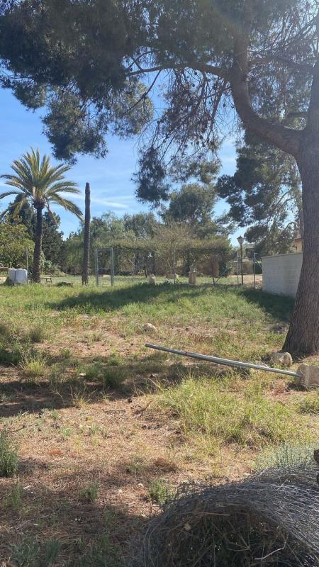 Terreno en venta en Petrer, Alicante photo 5