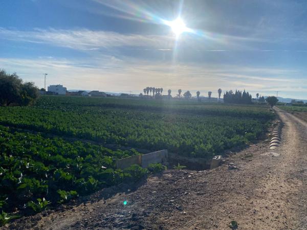 Terreno en Senda Masquefa, 114, Molins-Campaneta-San Bartolomé, Orihuela photo 1