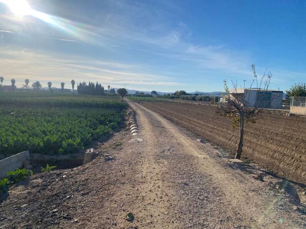 Terreno en Senda Masquefa, 114, Molins-Campaneta-San Bartolomé, Orihuela photo 2