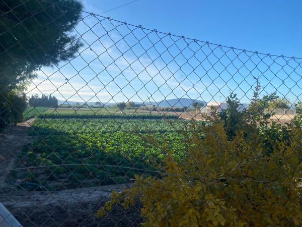 Terreno en Senda Masquefa, 114, Molins-Campaneta-San Bartolomé, Orihuela photo 4