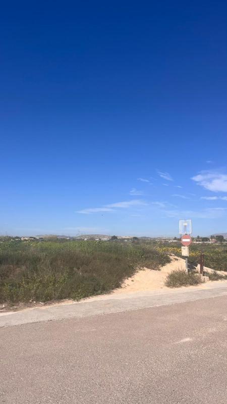 Działka na sprzedaż w Elche / Elx, Alicante photo 1