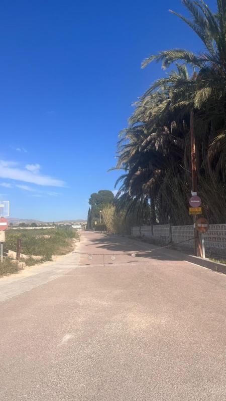 Działka na sprzedaż w Elche / Elx, Alicante photo 2
