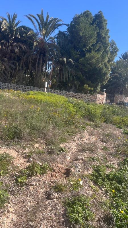 Działka na sprzedaż w Elche / Elx, Alicante photo 4