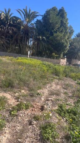 Terreno en Partida Torrellano Bajo, 1110 b, Torrellano, Elche / Elx photo 4