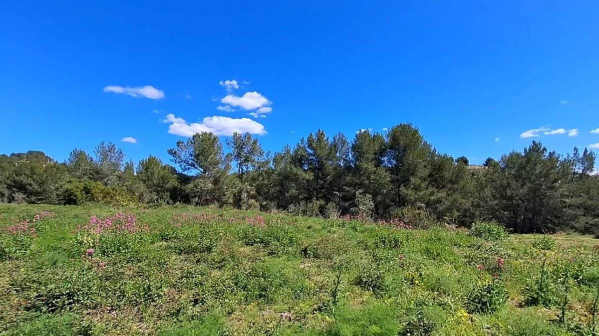 Terreno en venta en Benissa, Alicante photo 3