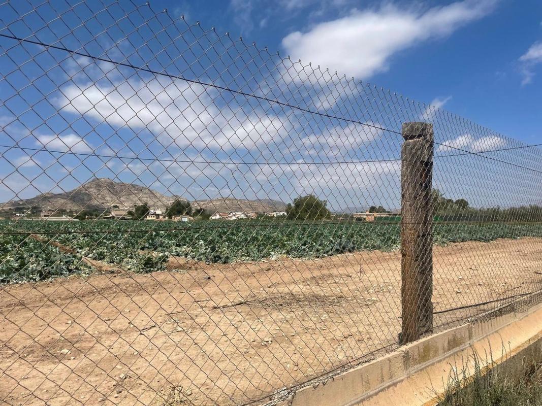 Land for sale in Aspe, Alicante photo 1