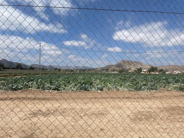 Terreno en Pedanías Oeste, Aspe photo 3
