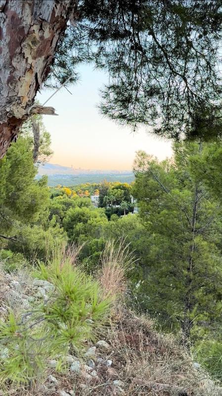 Terreno en venta en Altea, Alicante photo 5