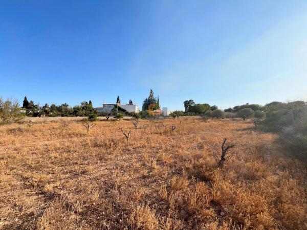 Terreno en Sol y Luz, San Vicente del Raspeig thumbnail 3