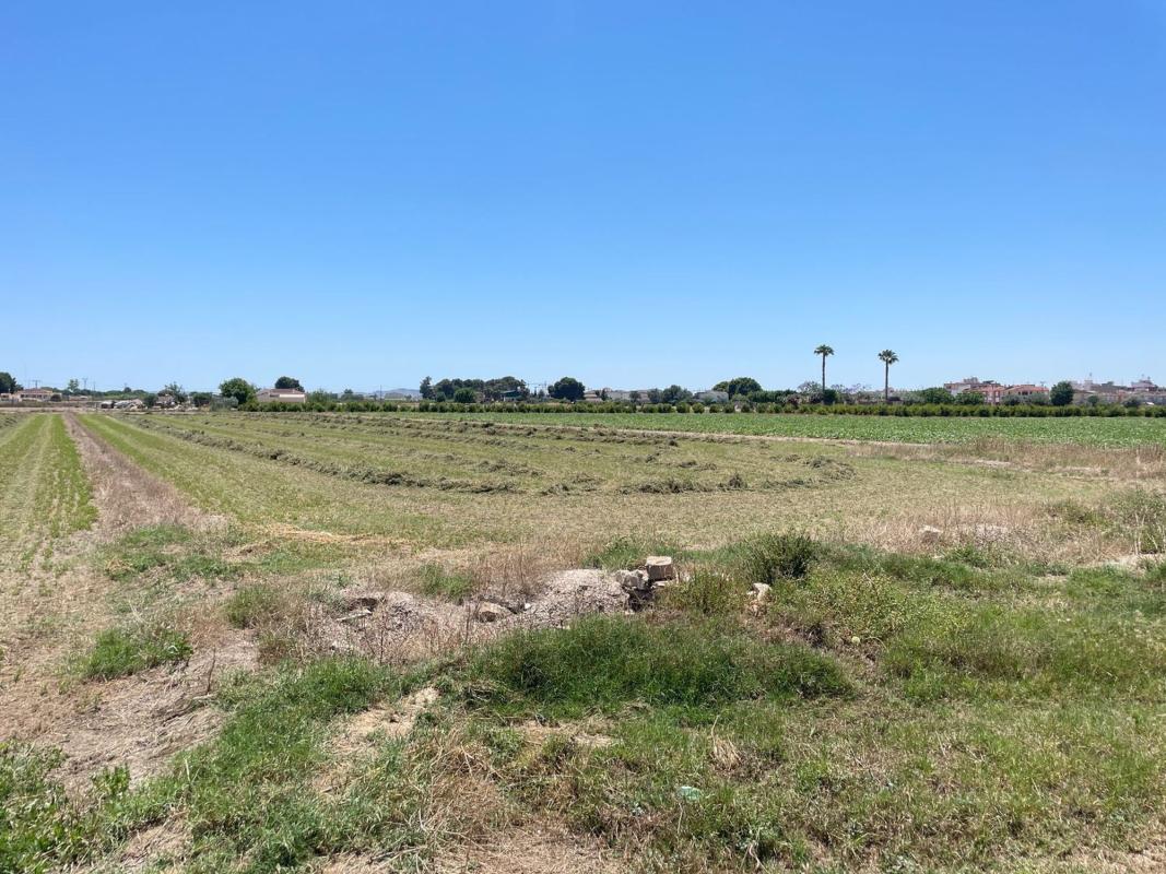 Land for sale in Dolores, Alicante photo 3