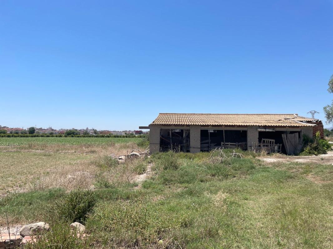 Land for sale in Dolores, Alicante photo 5