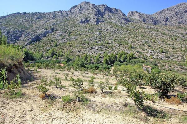 Terreno en Beniarbeig photo 4