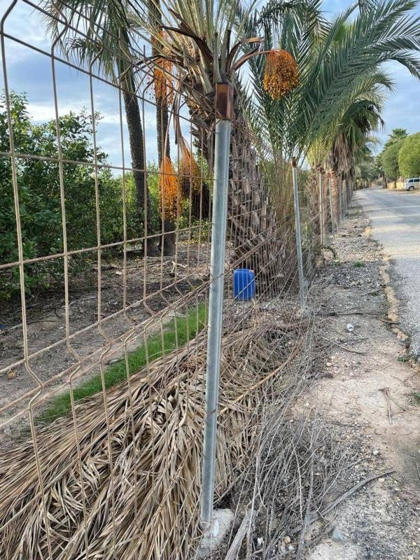 Участок земли на продажу в Эльче / Эльх, Аликанте photo 3