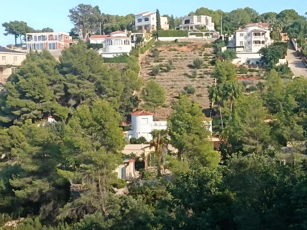 Land for sale in Denia, Alicante photo 3