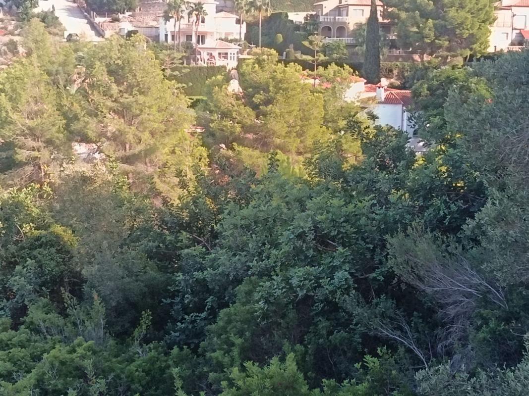 Land for sale in Denia, Alicante photo 5