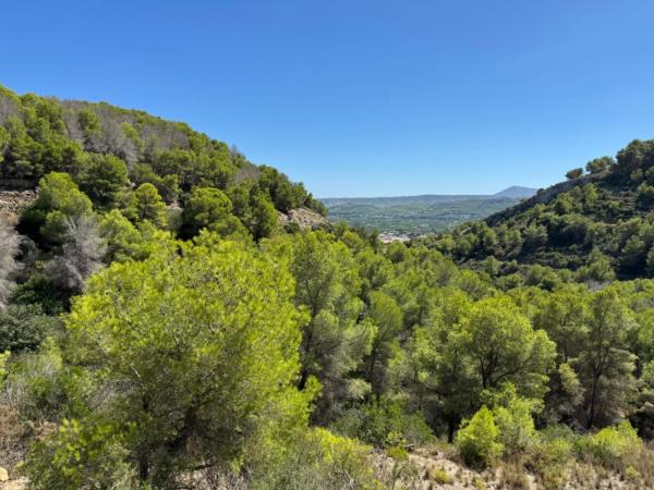 Terreno en Partida Tosal - Zona dels Castellans, Jávea/Xàbia photo 1