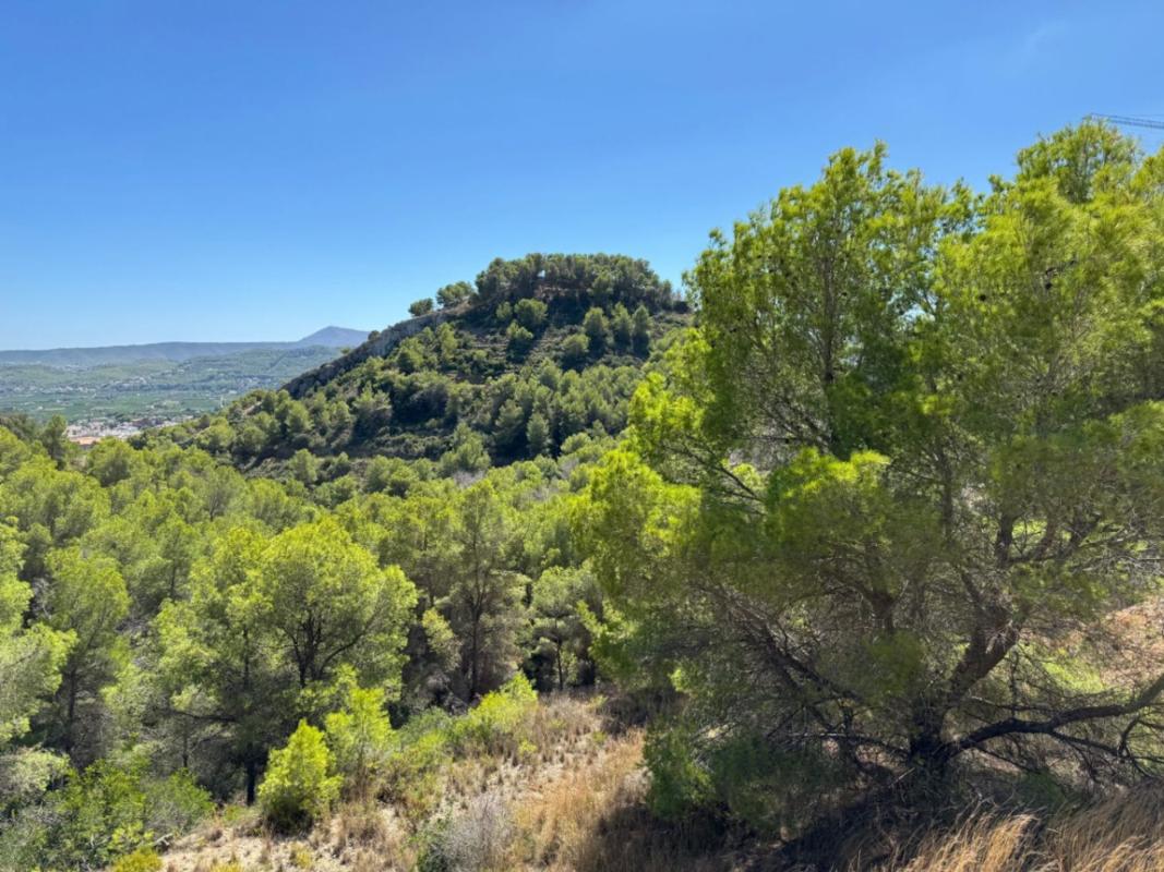 Terreno en venta en Jávea/Xàbia, Alicante photo 2