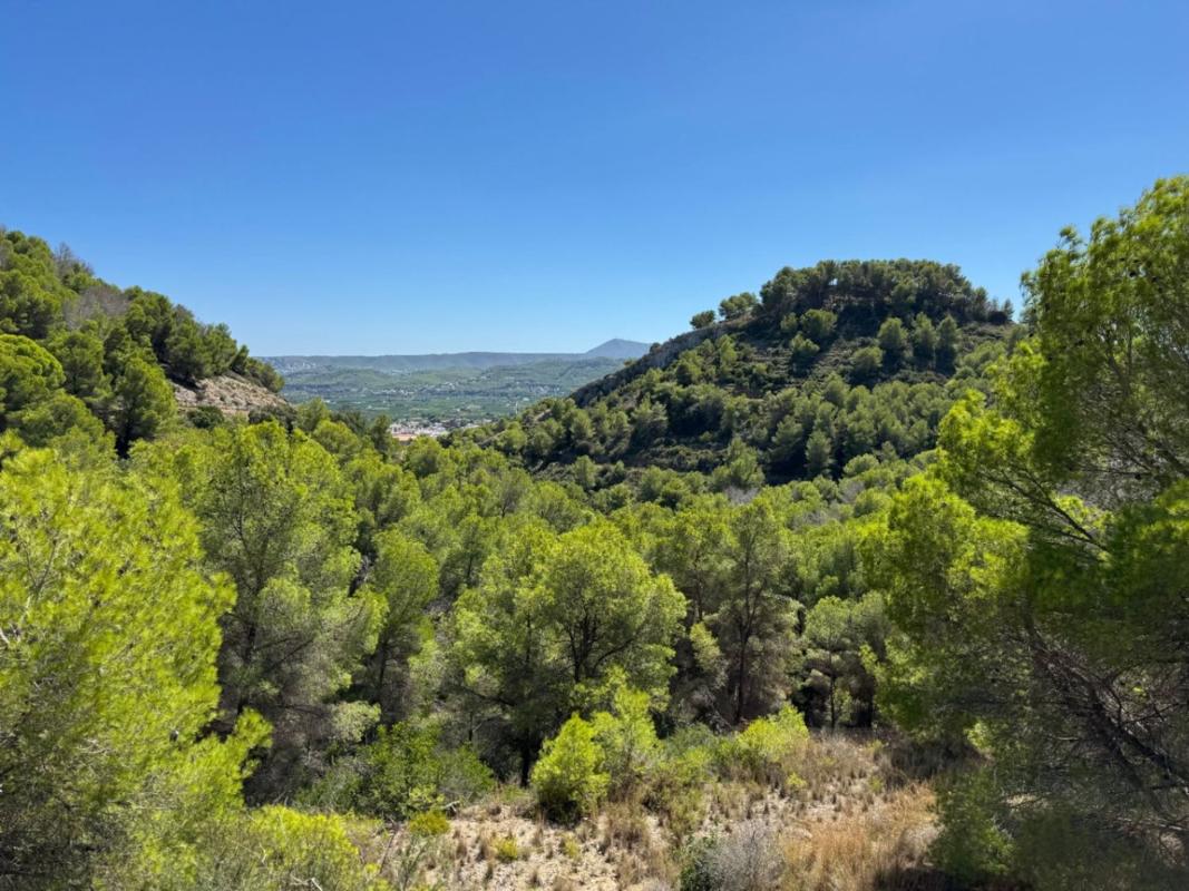 Terreno en venta en Jávea/Xàbia, Alicante photo 4
