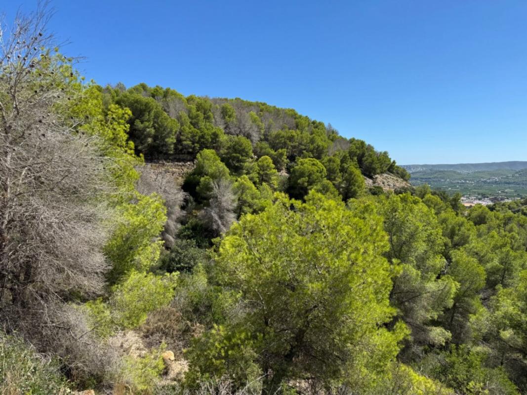 Terreno en venta en Jávea/Xàbia, Alicante photo 5