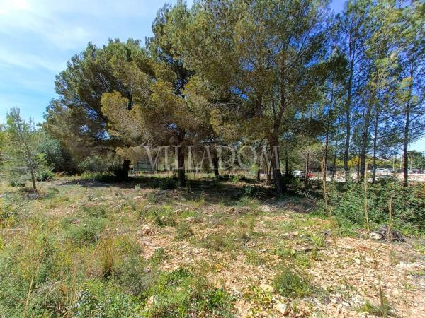 Terreno en Montgó - Ermita, Jávea/Xàbia thumbnail 3
