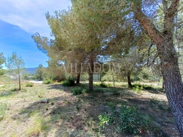 Terreno en Montgó - Ermita, Jávea/Xàbia photo 4