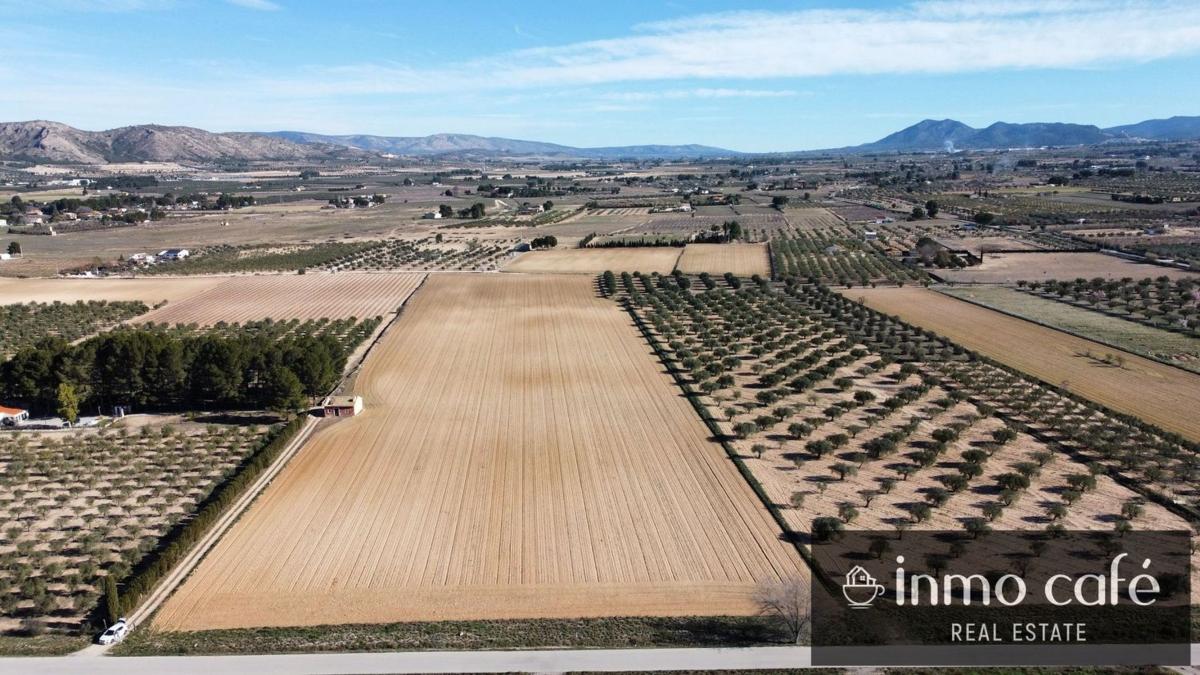 Działka na sprzedaż w Villena, Alicante photo 3