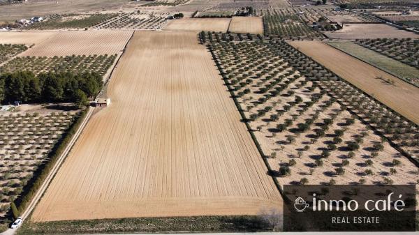 Terreno en Polígono 53 Parcela 98 Las Tiesas, Las Tiesas, Villena photo 4